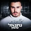 About מוותרת Song