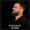 About Eli Esger Song