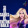 About Si te sabes el TikTok baila Song