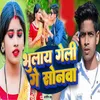 About Bhulay Geli Ge Sonwa Song