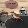 אגדה חיה: דרור