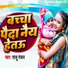 About Bachcha Paida Naiy Hetau Song