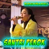 About Santri Pekok Song