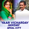 About Yaar Vicharday Janday Song