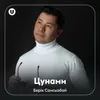 About Цунами Song