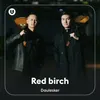 About Red birch Song