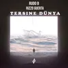 About TERSİNE DÜNYA Song