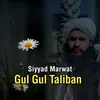 About Gul Gul Taliban Song