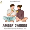 Ameer Gareeb