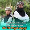 About Ab Pili Pagdi Ayegi Song