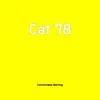 Cat 78