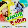 About Adabhangi Ye Bhola Song