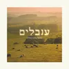 About ענבלים Song