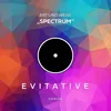 About Spectrum Song