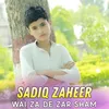 About Wai Za De Zar Sham Song