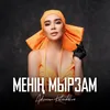 About Менің мырзам Song