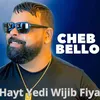 About Hayt Yedi Wijib Fiya Song