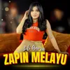 About Zapin Melayu Song