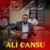 About Zalım Ayrılık Song