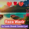 About Sa Gulab Ghundi Zawani Lari Song