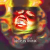 About Drop in Trunk Song