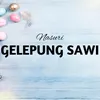 Gelepung Sawi