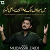 About Mein Marjawa'n Lag Jawan Mere Sa Ali Akbar as Nu Song