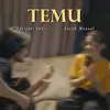 About temu Song