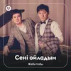 About Сенi ойладым Song