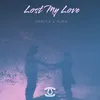 About Lost My Love Song