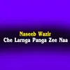 About Che Larnga Panga Zee Naa Song