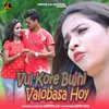 About Vul Kore Bujhi Valobasa Hoy Song