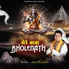 About Mere Baba Bholenath Song
