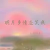 About 明月多情应笑我 Song