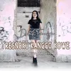 About Tresnoku Kanggo Kowe Song