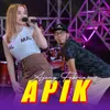 Apik