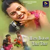 About Hath Barabi Tole Tole Song