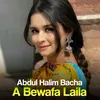 About A Bewafa Laila Song