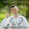 About Vânătoare boală grea Song