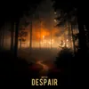 About Despair Song