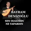 Sen Olsaydın Ne Yapardın