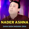 About Zama Sada Nadana Zrha Song