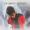 About I'm Sorry GoodBye Song