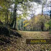 About Autumn walk Song