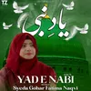 Yad e Nabi