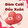 About Đám Cưới Đầu Xuân Song