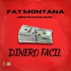 About Dinero Facil Song