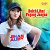 About Boleh Lihat Pegang Jangan Song