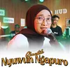 About Nyuwun Ngapuro Song
