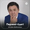 About Перзент тілегі Song